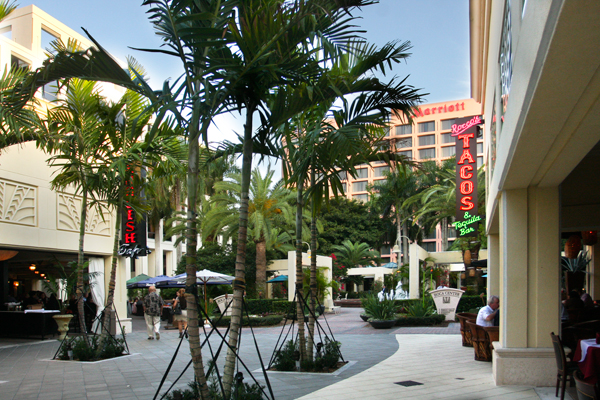 The Shops at Boca Center